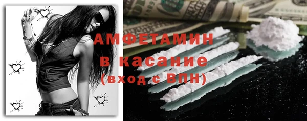 стаф Пересвет