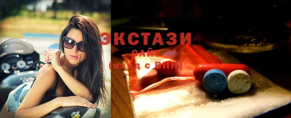 стаф Пересвет