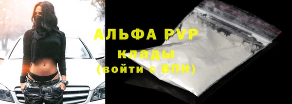 стаф Пересвет