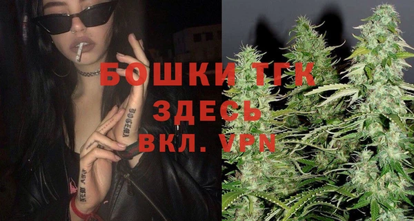 стаф Пересвет