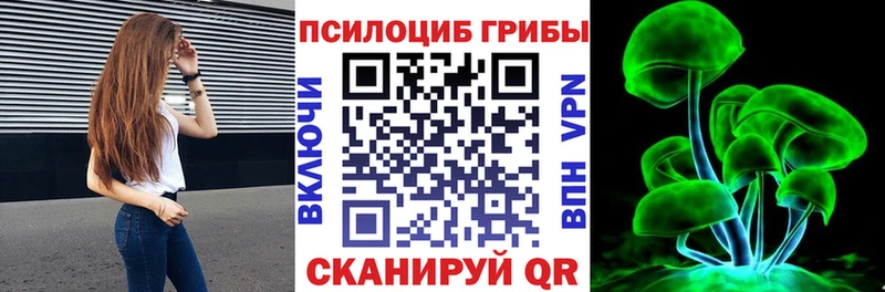 Псилоцибиновые грибы прущие грибы  закладка  ссылка на мегу сайт  Мглин 